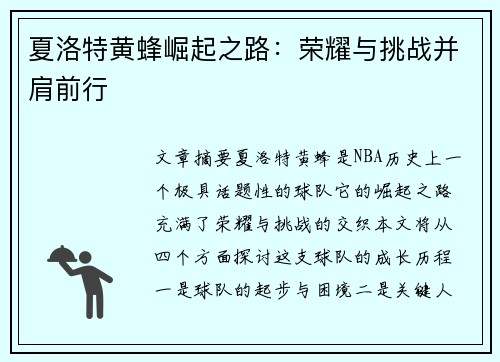 夏洛特黄蜂崛起之路：荣耀与挑战并肩前行
