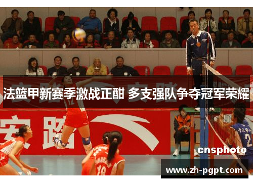 法篮甲新赛季激战正酣 多支强队争夺冠军荣耀