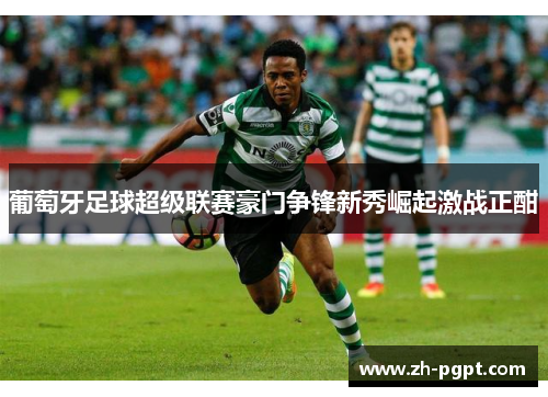 葡萄牙足球超级联赛豪门争锋新秀崛起激战正酣