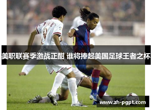 美职联赛季激战正酣 谁将捧起美国足球王者之杯