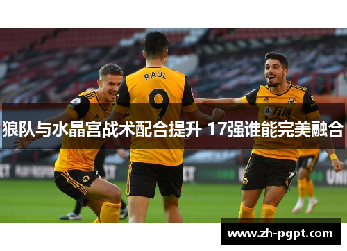 狼队与水晶宫战术配合提升 17强谁能完美融合